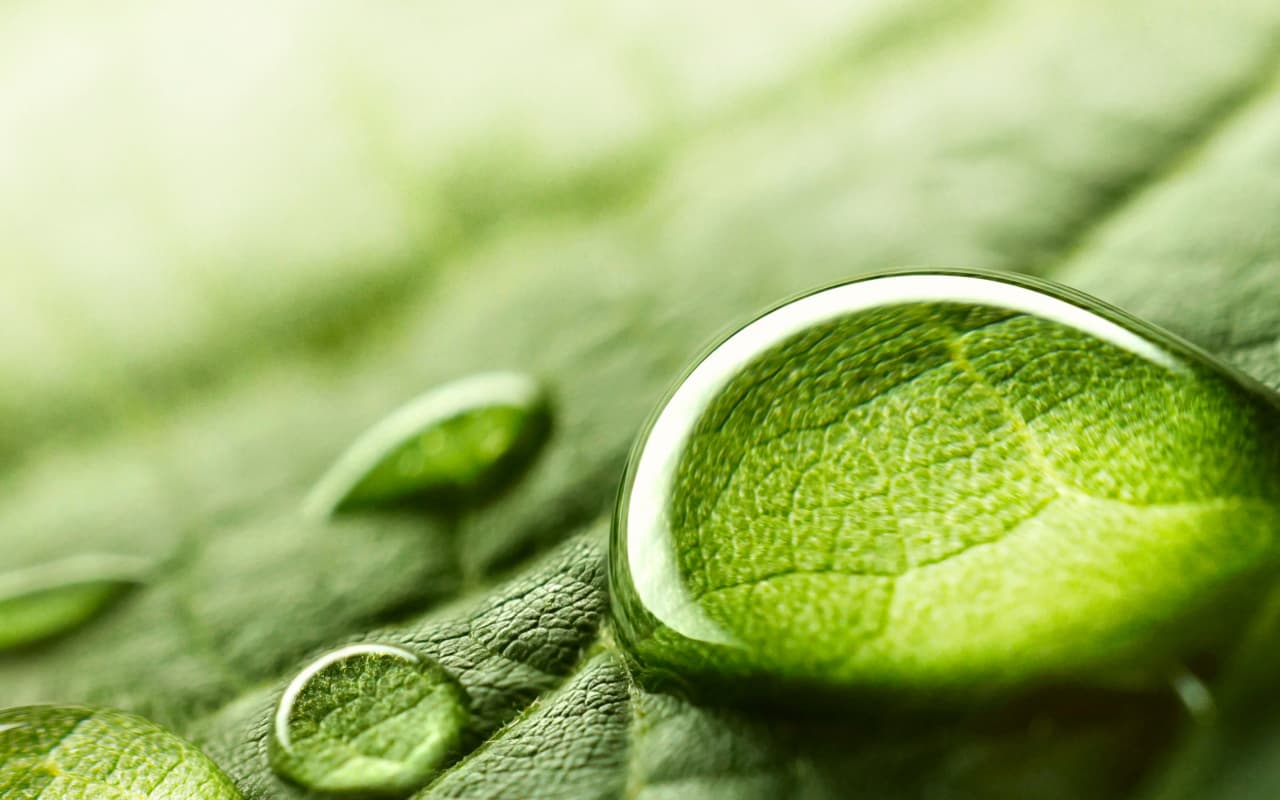 Un altro anno di sfide